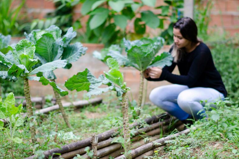 natural farming permaculture