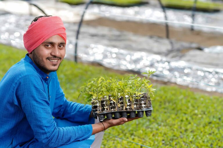 sustainable agriculture in India