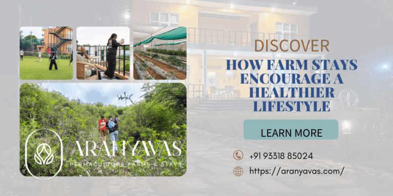 How Farm Stays Encourage a Healthier Lifestyle