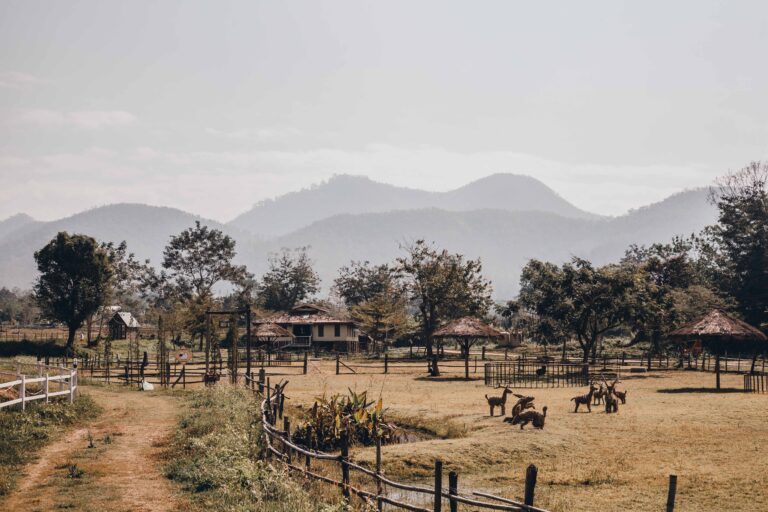 Rural Tourism Market Trends & Outlook 2025–2035