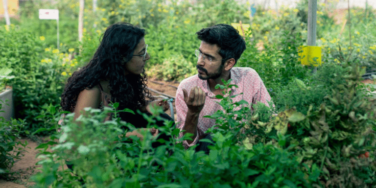 Permaculture farmstay India