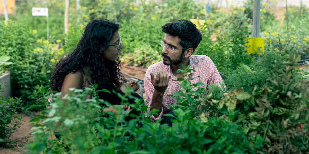 Permaculture farmstay India