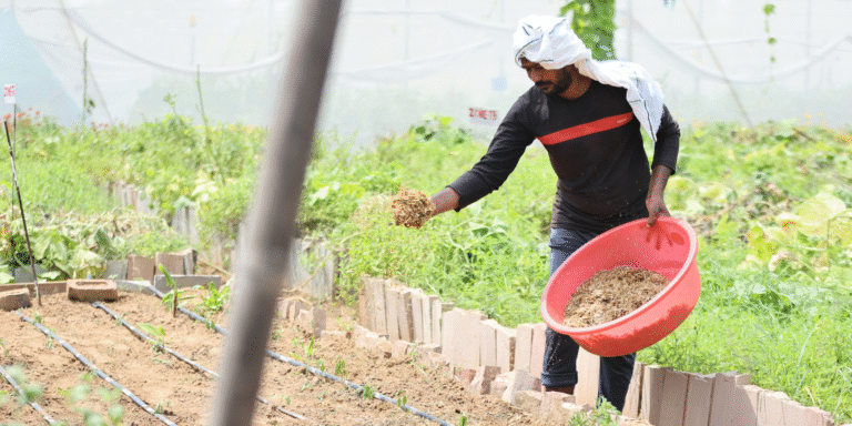 Guests enjoying sustainable farm stay at Aranyavas Nature Retreat Jaipur