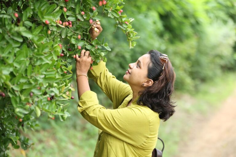 a day at aranyavas low