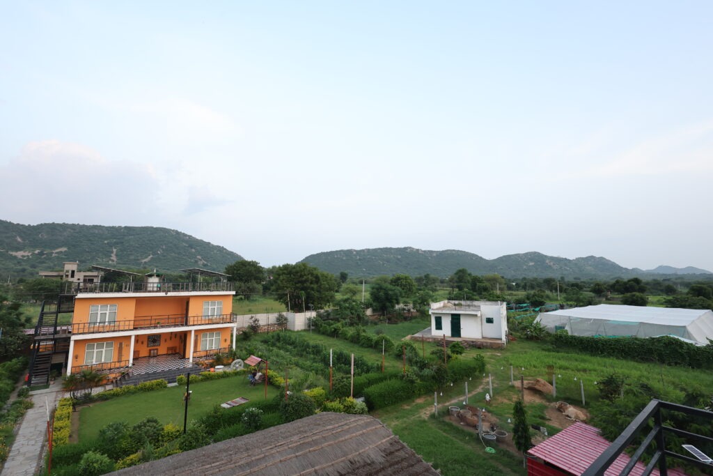 A Gentle Introduction to the Aranyavas Ethos