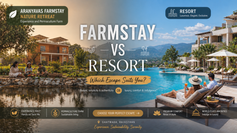 The Difference Between a Farmstay and a Resort