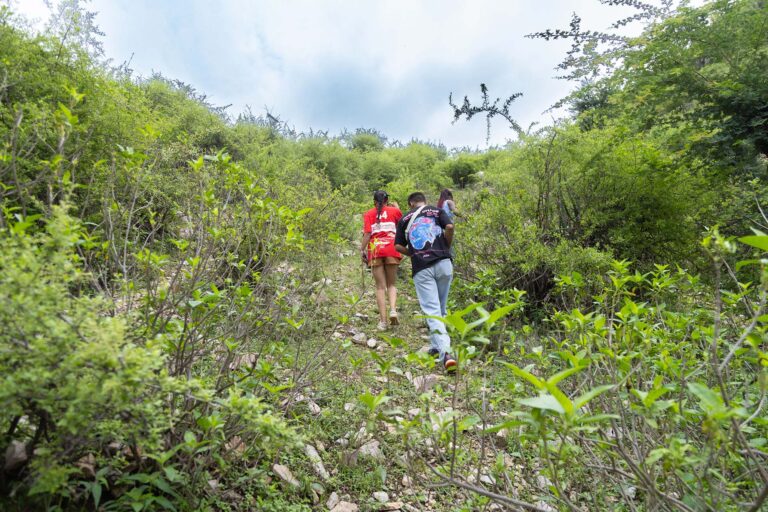 What to Expect During Your First Farmstay Near Jaipur