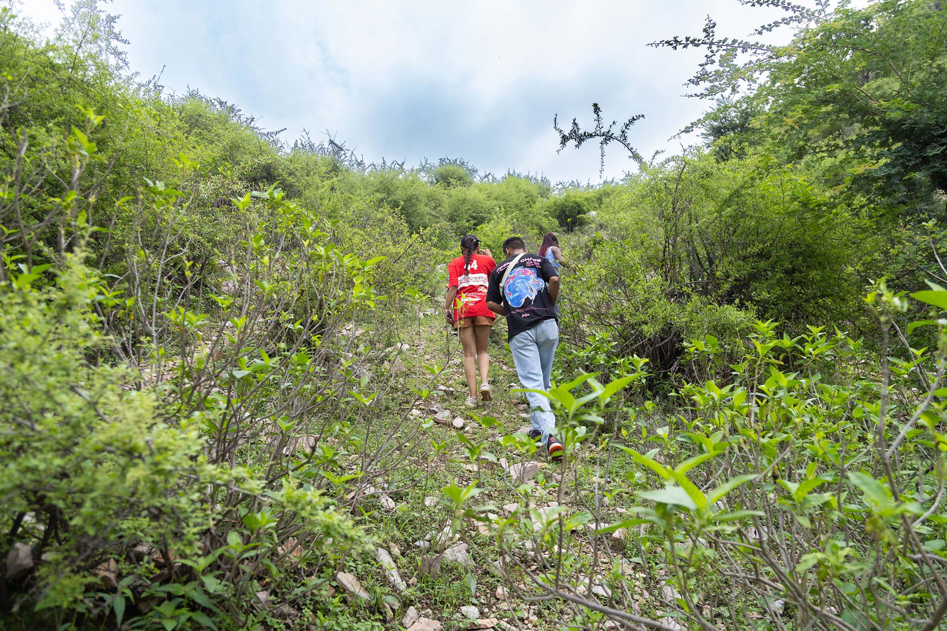 What to Expect During Your First Farmstay Near Jaipur