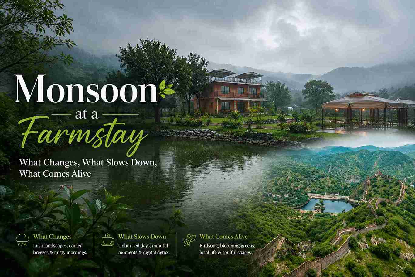 Monsoon at a Farmstay What Changes, What Slows Down, What Comes Alive